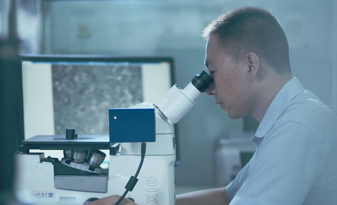 Z6·尊龙凯时「中国」官方网站